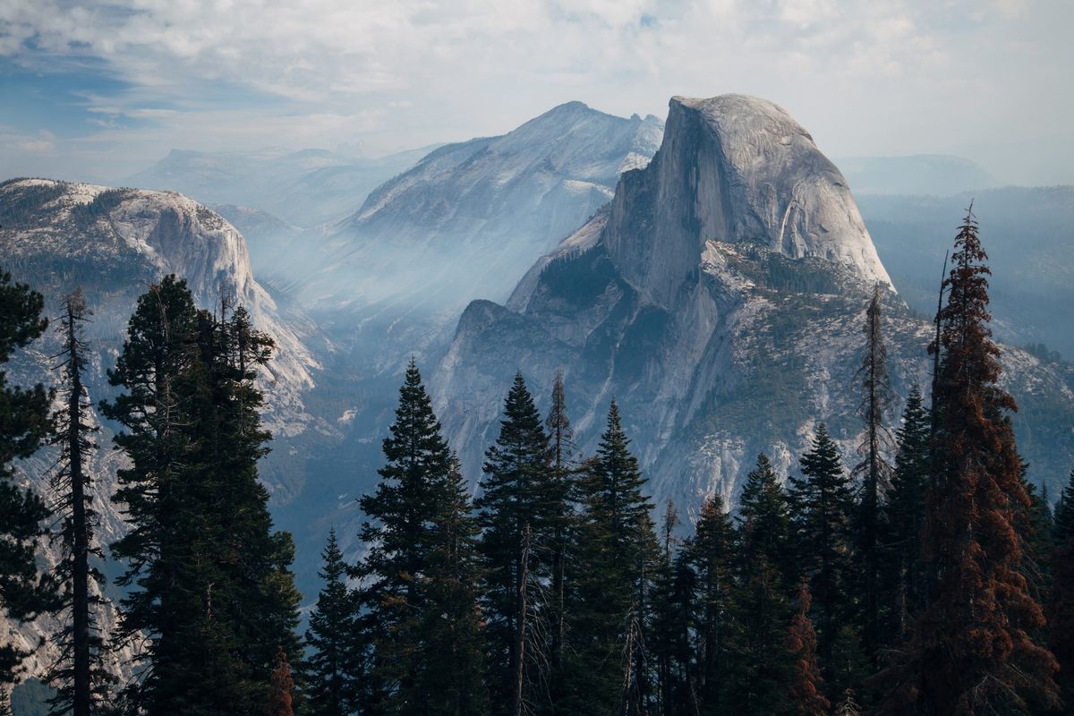 Scenic view of Half Dome and Yosemite Valley with towering evergreens.