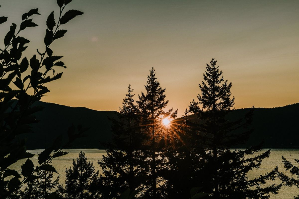 Sunset silhouetting evergreen trees with the sun's rays piercing through, over a serene lake and hilly landscape.