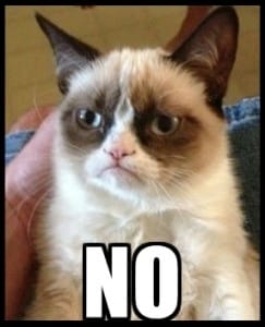 Cat say's No